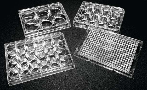 Sterile Untreated Polystyrene Microplate with Lid, Flat Bottom, 12 Well, 6, and 24 Plates - 222-8046-01F - 100 Each