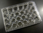 24-Well Plate - 290-8125-01L - 105 Each - MDL-PTV290812501L