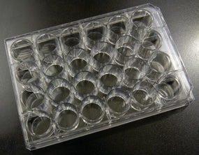 24-Well Plate - 290-8125-01L - 105 Each - MDL-PTV290812501L