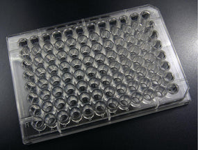 Evergreen Scientific 6, 12, 24 and 96-well Tissue Culture Plates 333-8001-01V - 100.0 Each