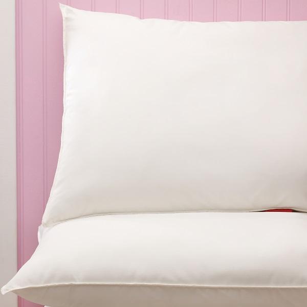 Careguard Reusable Pillows - 51173 - 12 Each - MDL-PWF51173