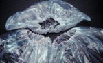 Deroyal Equipment Covers - 77-103630T - 25 Pack - MDL-QTX103630TCS