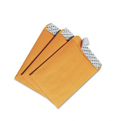 Cenveo Corporation Redi Strip Catalog Envelope 44162 - 100.0 Each - MDL-QUA44162