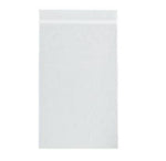 Rd Plastics Co Inc Clear 2 Mil Reclosable Bags A23 1000.0 Each-MDL-RDPA23