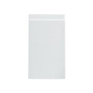 Rd Plastics Co Inc Clear 2 Mil Reclosable Bags A29 100.0 Each-MDL-RDPA29Z