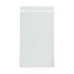 Rd Plastics Co Inc Clear 2 Mil Reclosable Bags A41 1000.0 Each-MDL-RDPA41