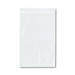 RD PLASTICS CO INC Clear 3-Wall Reclosable Specimen Bags B43 1000 Each - MDL-RDPB43