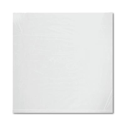 Rd Plastics Co Inc Clear 2 Mil Standard-Weight Poly Bags K24 - 1000.0 Each