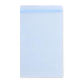 Reclosable Blue-Tint Bags, 2 mil, 6" x 9", Pharmacy Special - Q129 - 1000 Each