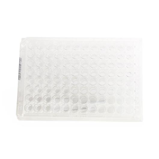 Meridian Bioscience Premier H. pylori by Meridian Bioscience 606096 1.0 Each-MDL-RID606096