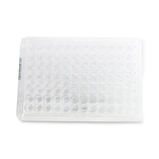 Meridian Bioscience Premier EHEC Enzyme Immunoassay (EIA) Test Kit 608096 - 96.0 Each - MDL-RID608096