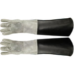 NOOBY'S PPE Leather Primate Catch Gloves - NBCG-OFA-PAIR - 25 Pair - MDL-ROICGOFAPAIR