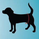 Rotano LLC NOOBY'S Dog Mobility Lift Support Rear Harnesses NBHR-SM 6.0 Each-MDL-ROINBHRSM