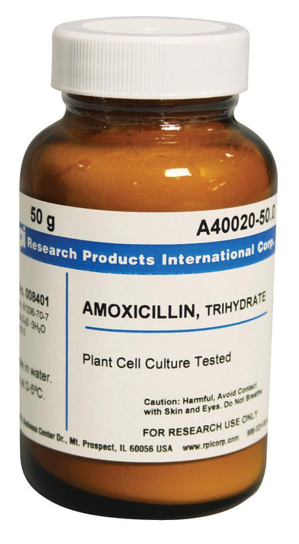Research Intl A40020-50.0 Amoxicillin Trihydrate, 50 g - MDL-RPIA40020500 - 1 Each