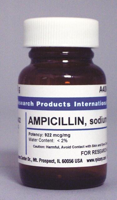 Research Int'l A40040-1000.0 Ampicillin, Sodium Salt, 1 kg - MDL-RPIA400401000 - 1 Each