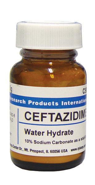 Research Intl C59200-5.0 Ceftazidime, Water Soluble, 5 g - MDL-RPIC5920050 - 1 Each