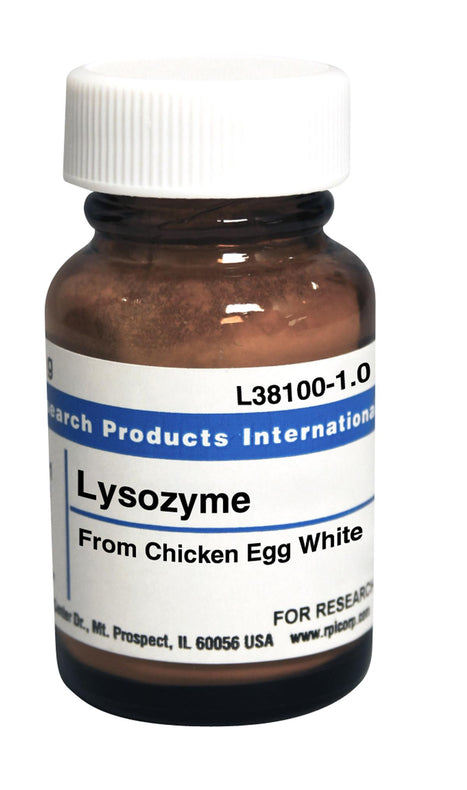 Research Intl L38100-1.0 Lysozyme, From Chicken Egg White, Lyophilized Powder, 1 g - MDL-RPIL3810010 - 1 Each