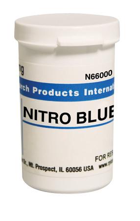 Nitro Blue Tetrazolium (Nbt) - N66000-1.0 - 1 Each - MDL-RPIN6600010
