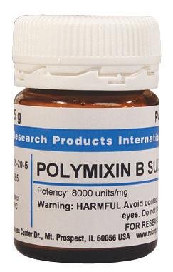 Research Intl P40160-5.0 Polymixin B Sulfate, 5 g - MDL-RPIP4016050 - 1 Each