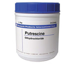 Research Products Int'l Corp. RPI Putrescine Dihydrochloride P41040-1000.0 - 1.0 Each