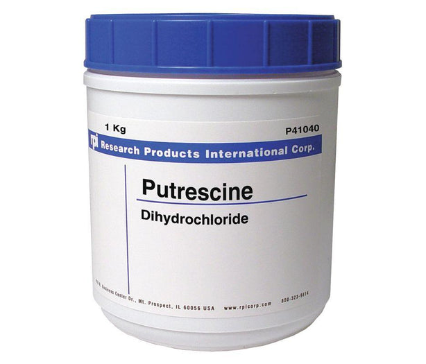 Research Products Int'l Corp. RPI Putrescine Dihydrochloride P41040-1000.0 - 1.0 Each