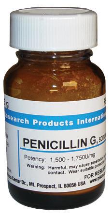 Research Products Intl Corp Penicillin G Sodium [Benzylpenicillin Na + Salt] P93000-5.0 - 1.0 Each