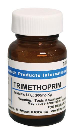 Research Intl Lactate T59000-5.0 Trimethoprim, 5 g - MDL-RPIT5900050 - 1 Each