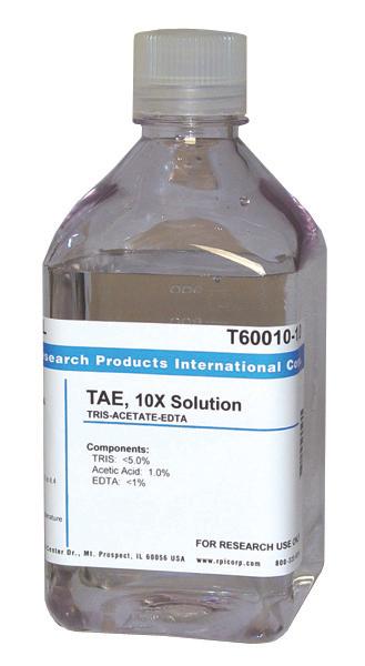 Research Intl T60010-4000.0 Tris-Acetate-EDTA [TAE], 10X Solution, 4 L - MDL-RPIT600104000 - 1 Each