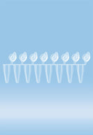 PCR Strip of 8 Tubes - 72.994.992 - 1200 Pack - MDL-SAR72994992