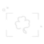IV Auxiliary Labels - IVA-12 -  - MDL-SHMIVA12