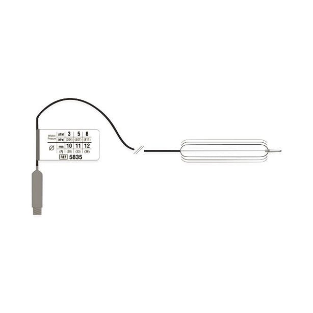 Boston Scientific Fixed Wire CRE Fixed-Wire Balloon Dilator, Esophageal, 6 mm x 8 cm x 180 cm, MSPV / Government Only - M00558330 - 1 Each