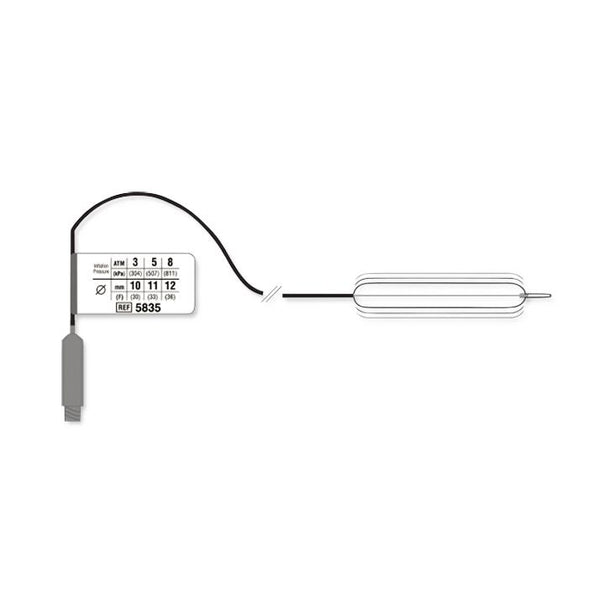Boston Scientific CRE Wireguided Esophageal Balloons M00558381 - 5.0 Each