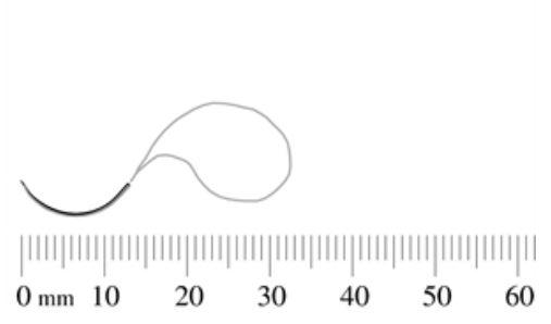 S Jackson HEA-40-20W Looped Cable Suture, Circle Taper, 20", 3/8", Size 4-0 - MDL-SJAHEA4020W - 12 Each