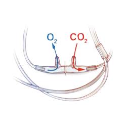 Salter Labs Salter Labs Divided SOFT CO2 Sampling / O2 Delivery Cannula 4MSF2-L-PED-7-6-25 25.0 Each-MDL-SLT2LPED7625