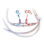 Divided Nasal Cannula, Adult, 7' Tubing, Female Connector, O2/ETCO2 Oral/Nasal - 4707F-7-7-25 - 1 Each