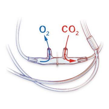 Divided Nasal Cannula, Adult, 7' Tubing, Female Connector, O2/ETCO2 Oral/Nasal - 4707F-7-7-25 - 1 Each
