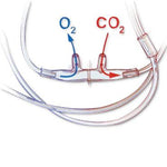 SALTER LABS O2/ETCO2 Adult Divided Oral/Nasal Cannulas 4797F-7-7-10 10 Each - MDL-SLT4797F7710