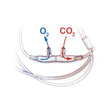 O2/ETCO2 Adult Divided Oral/Nasal Cannulas - 4707-10-10-25 - 25 Each - MDL-SLT707101025
