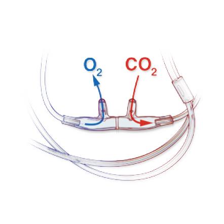 O2/ETCO2 Adult Divided Oral/Nasal Cannulas - 4707-10-10-25 - 25 Each - MDL-SLT707101025