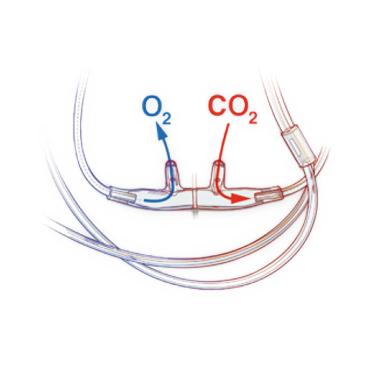 Salter Labs O2/ETCO2 Filtered / Divided Nasal and Oral Cannula, Size Adult - 4MSF1-0-6-100 - 100 Each