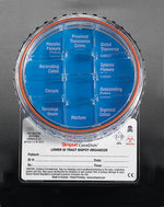 Simport Scientific 12-Compartment CoreDish Lower GI Tract Biopsy, 12 Compartments, Filled with Formalin - M970-D12LGI - 10 Each