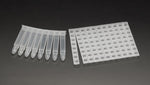 Simport Scientific Mat Cover for Deep Well Plates T105-26 - 10.0 Each