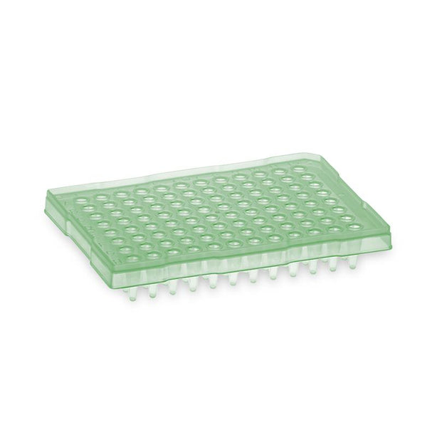 Simport Scientific Raised Rim PCR Amplate T323-103G - 100.0 Each