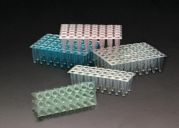 Amplate - T323-24B - 50 Each - MDL-SMPT32324B