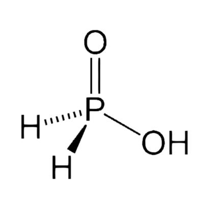 Spectrum Hydrophosphorous Hypophosphorous Acid, 50% (W / V) (DEA List I Chemical), Solution, 500 mL - H1105-500MLGL - 1 Each