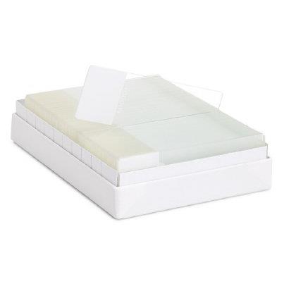 Statlab Medical Products Inc Millennia 1000 Adhesion Slides M1000W - 1000.0 Each - MDL-STLBM1000WCS