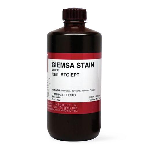Statlab Medical Products Inc Giemsa Stock Stain STGIEPT 1.0 Each-MDL-STLBSTGIEPT