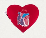 Shumsky Therapeutic Pro Shumsky Therapeutic Custom Heart Pillow 45495-HP12B - 1.0 Each - MDL-STP45495HP12B