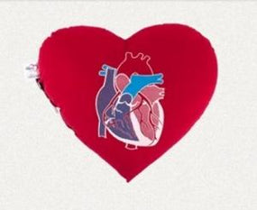 Shumsky Therapeutic Pro Shumsky Therapeutic Custom Heart Pillow 45495-HP12B - 1.0 Each - MDL-STP45495HP12B