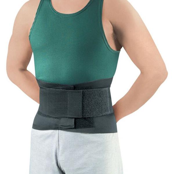 SCOTT SPECIALTIES INC Economy Lumbar Support 0155 BLA LG 1 Each - MDL-STS0155LG